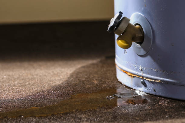 Coal Valley, IL Water damage restoration Company