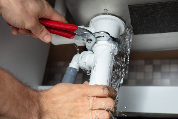Best Residential water damage restoration  in Coal Valley, IL