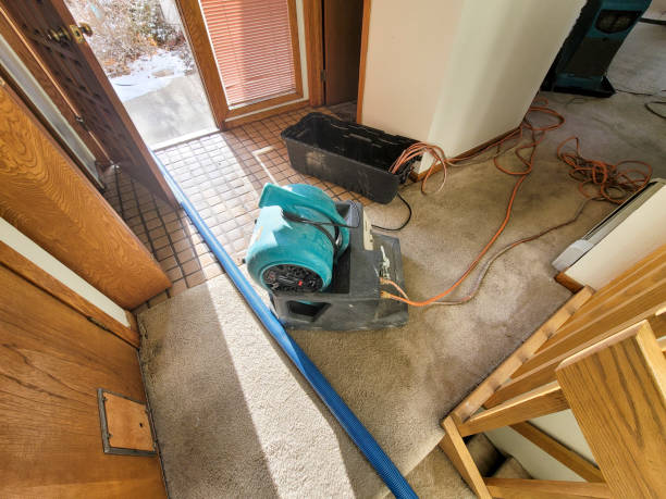 Water damage restoration process in Coal Valley, IL