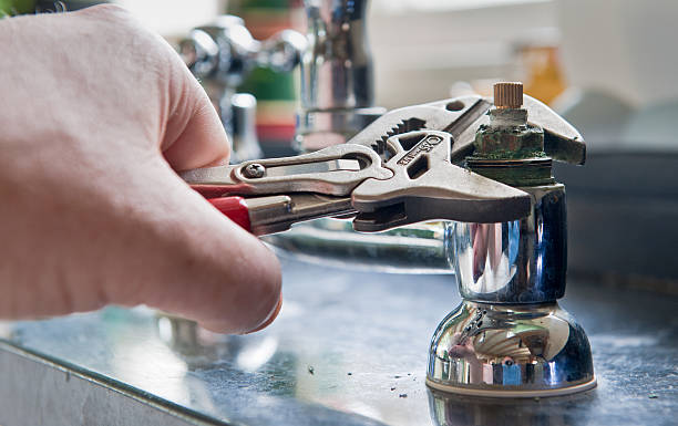 Best Flood damage cleanup  in Coal Valley, IL