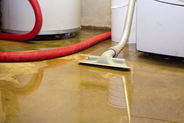Best Water damage restoration near me  in Coal Valley, IL