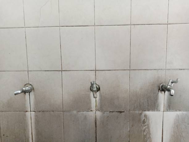 Best Mold removal after water damage  in Coal Valley, IL