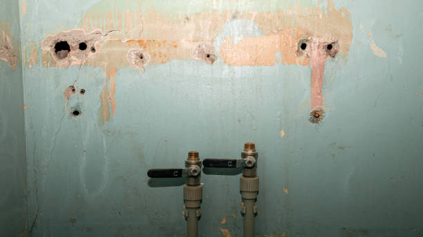 Carpet water damage restoration in Coal Valley, IL