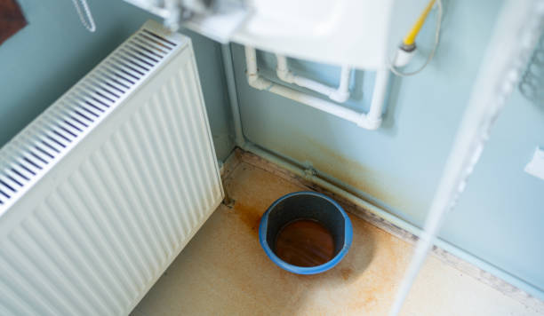 Best Water damage restoration near me  in Coal Valley, IL