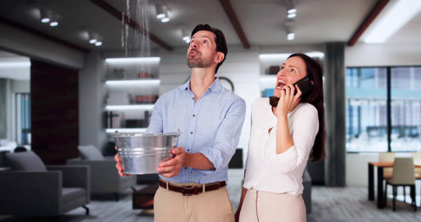 Best Fire Damage Restoration  in Coal Valley, IL