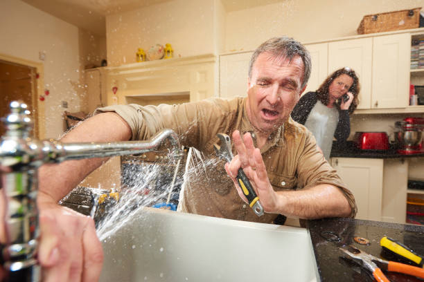 Best Flooded house restoration  in Coal Valley, IL